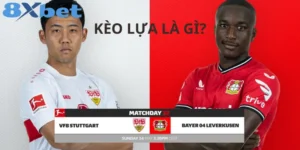Kèo lựa